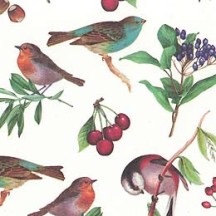 Petite Birds & Fruit Print Paper ~ Tassotti 